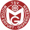 Motor Gispersleben (N)