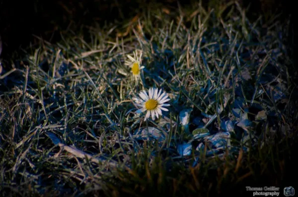 SV Concordia Riethnordhausen vs. FSV 06 Kölleda