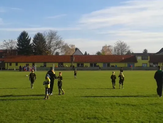 FSV 06 F-Junioren vs. TSV Bilzingsleben