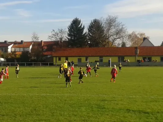 FSV 06 F-Junioren vs. TSV Bilzingsleben