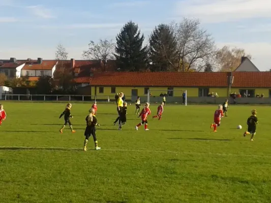 FSV 06 F-Junioren vs. TSV Bilzingsleben