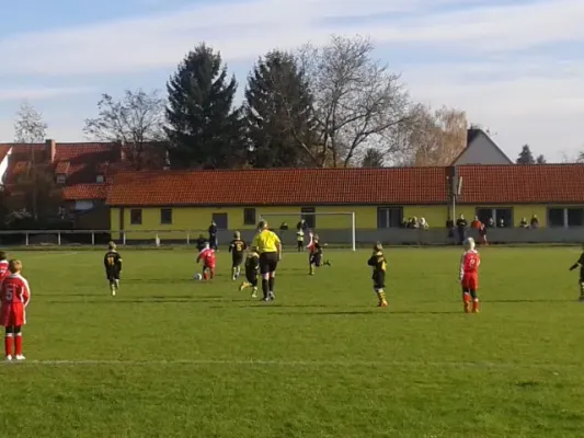 FSV 06 F-Junioren vs. TSV Bilzingsleben