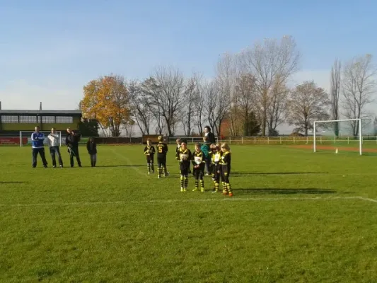 FSV 06 F-Junioren vs. TSV Bilzingsleben