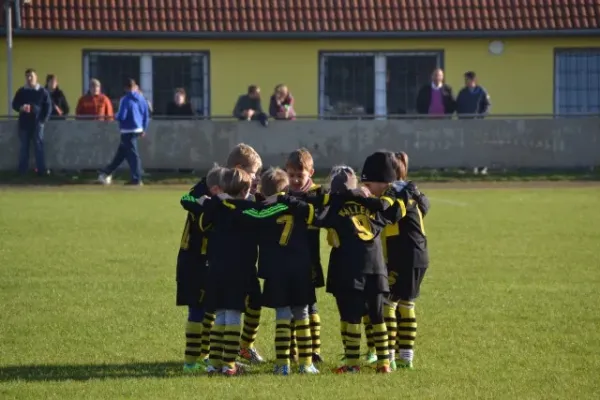 FSV 06 F-Junioren vs. TSV Bilzingsleben
