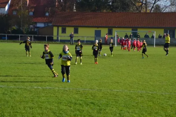FSV 06 F-Junioren vs. TSV Bilzingsleben