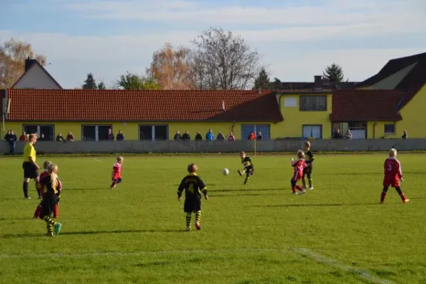 FSV 06 F-Junioren vs. TSV Bilzingsleben