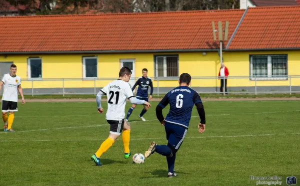 FSV 06 vs. Motor Gispersleben 2017