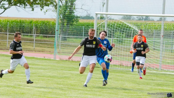 SG FSV 06 vs. SF Marbach