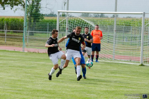 SG FSV 06 vs. SF Marbach