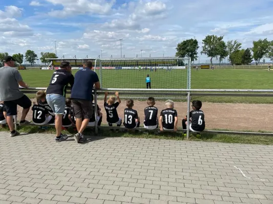 Cold- und Silber Cup 01. Juli 2023