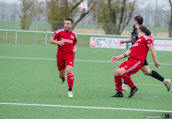 FSV 06 gg. Arenshausen