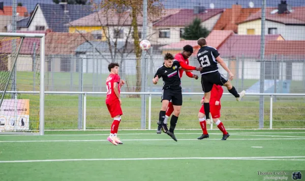 FSV 06 : Gispersleben