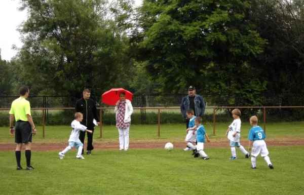 Turnier G-Junioren Wiehe (29.06.13)