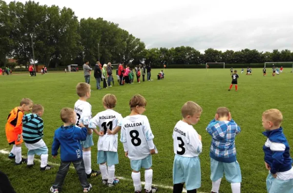 Turnier G-Junioren Wiehe (29.06.13)