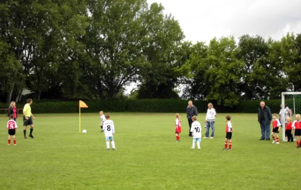 Turnier G-Junioren Wiehe (29.06.13)