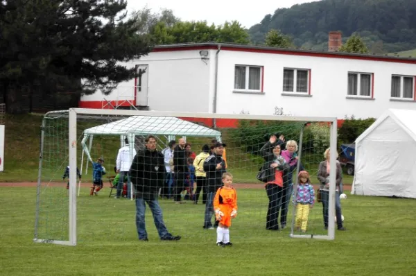 Turnier G-Junioren Wiehe (29.06.13)