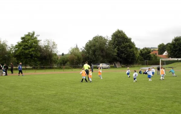 Turnier G-Junioren Wiehe (29.06.13)