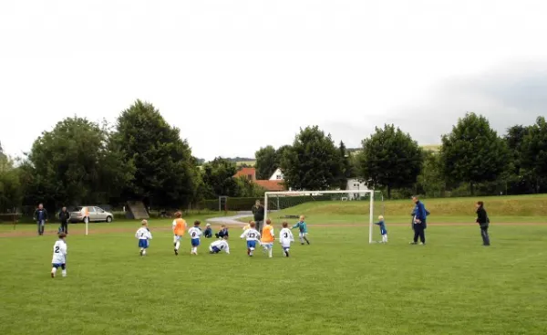 Turnier G-Junioren Wiehe (29.06.13)