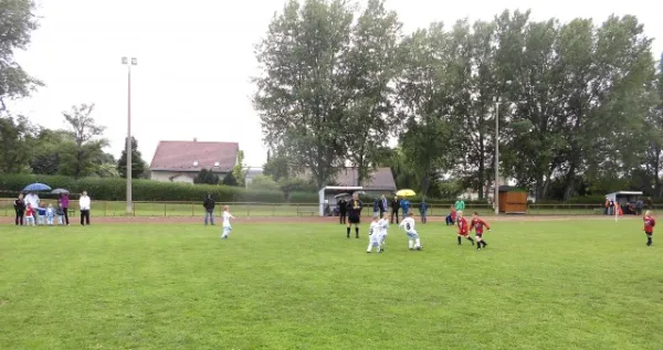 Turnier G-Junioren Wiehe (29.06.13)