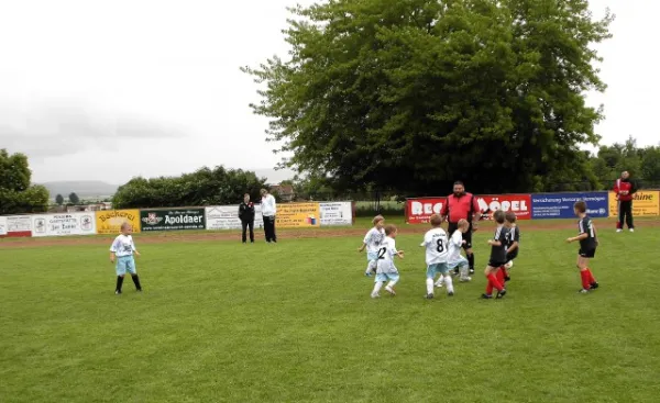 Turnier G-Junioren Wiehe (29.06.13)