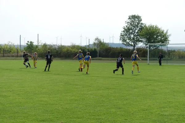 01.09.2019 TSG Stotternheim vs. SG FSV 06 Kölleda